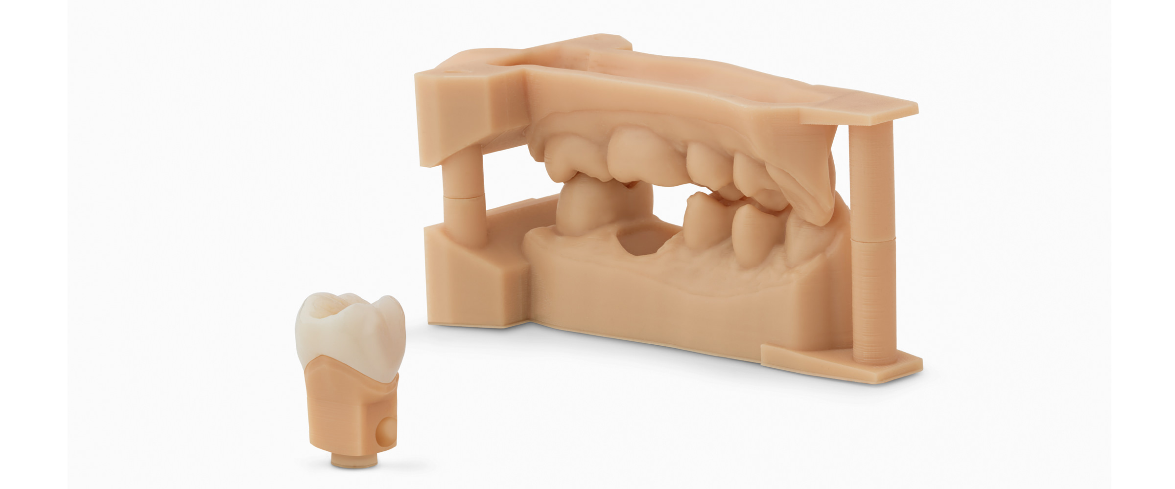 Dental Model Resin, Our Most Accurate Material Yet Formlabs Dental