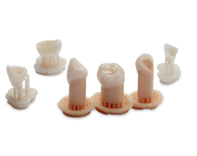 Permanent Crown Resin Formlabs Dental